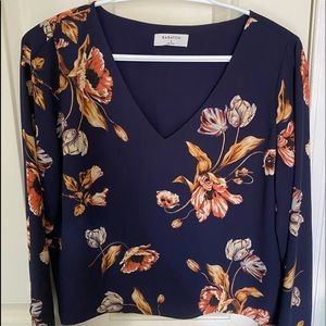 Babaton Blouse (Aritzia)